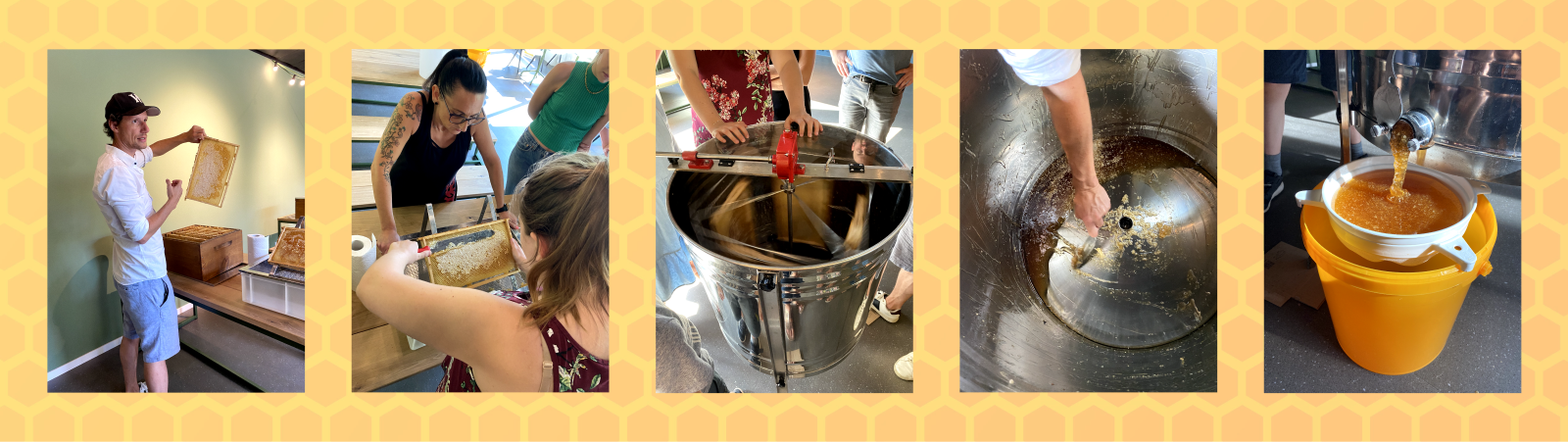 Go for the Gold: Extracting Honey for a Second time at Seibert Media - getting the honey out in the office