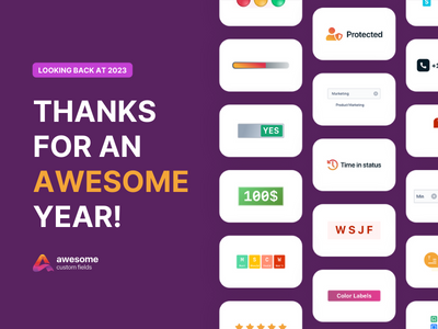 2023 in Review: Awesome Custom Fields' Journey of Growth and Innovation - thumbnail